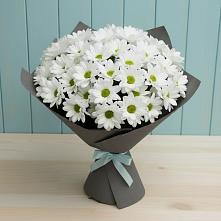 Букет цветов из:  Хризантемы #REPLACE_PRED# Калитвенской