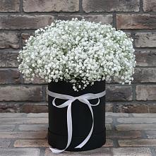 Цветочная композиция из Гипсофила в шляпной коробке #REPLACE_PRED# Калитвенской