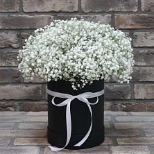 Цветочная композиция из Гипсофила в шляпной коробке в Калитвенской