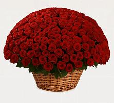 Премиум букет из: Розы в Калитвенской